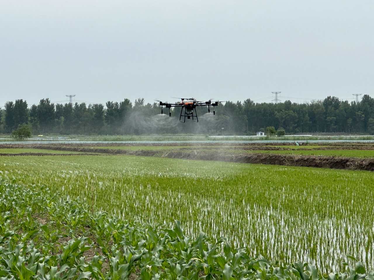 Drone pulverizador de pesticidas