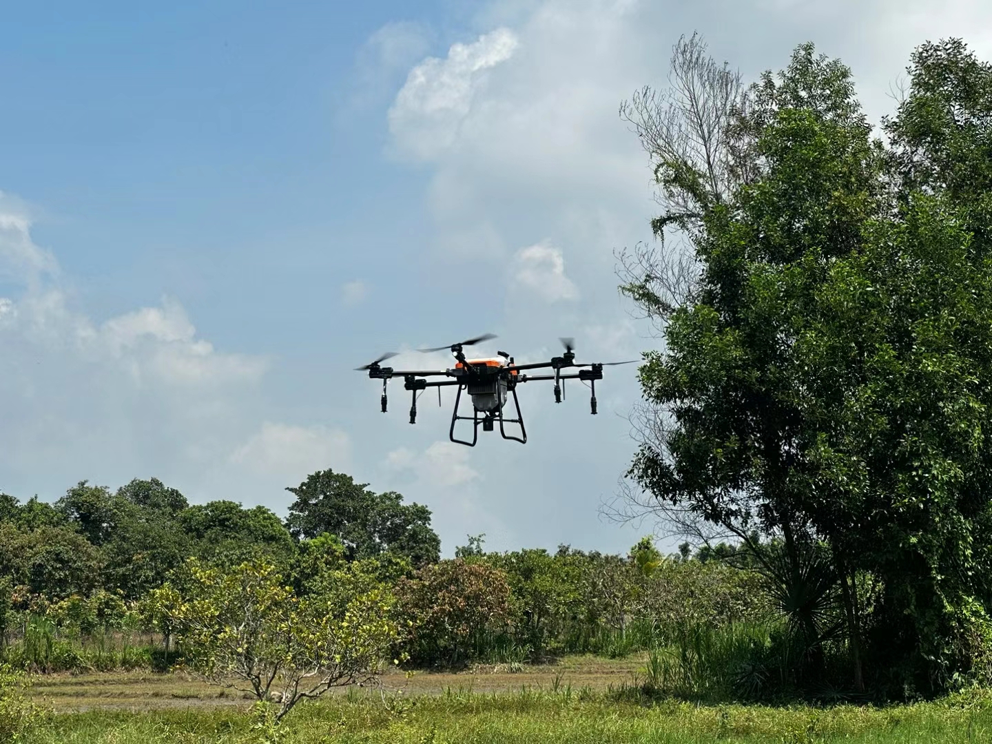 Drone pulverizador de fertilizantes a la venta