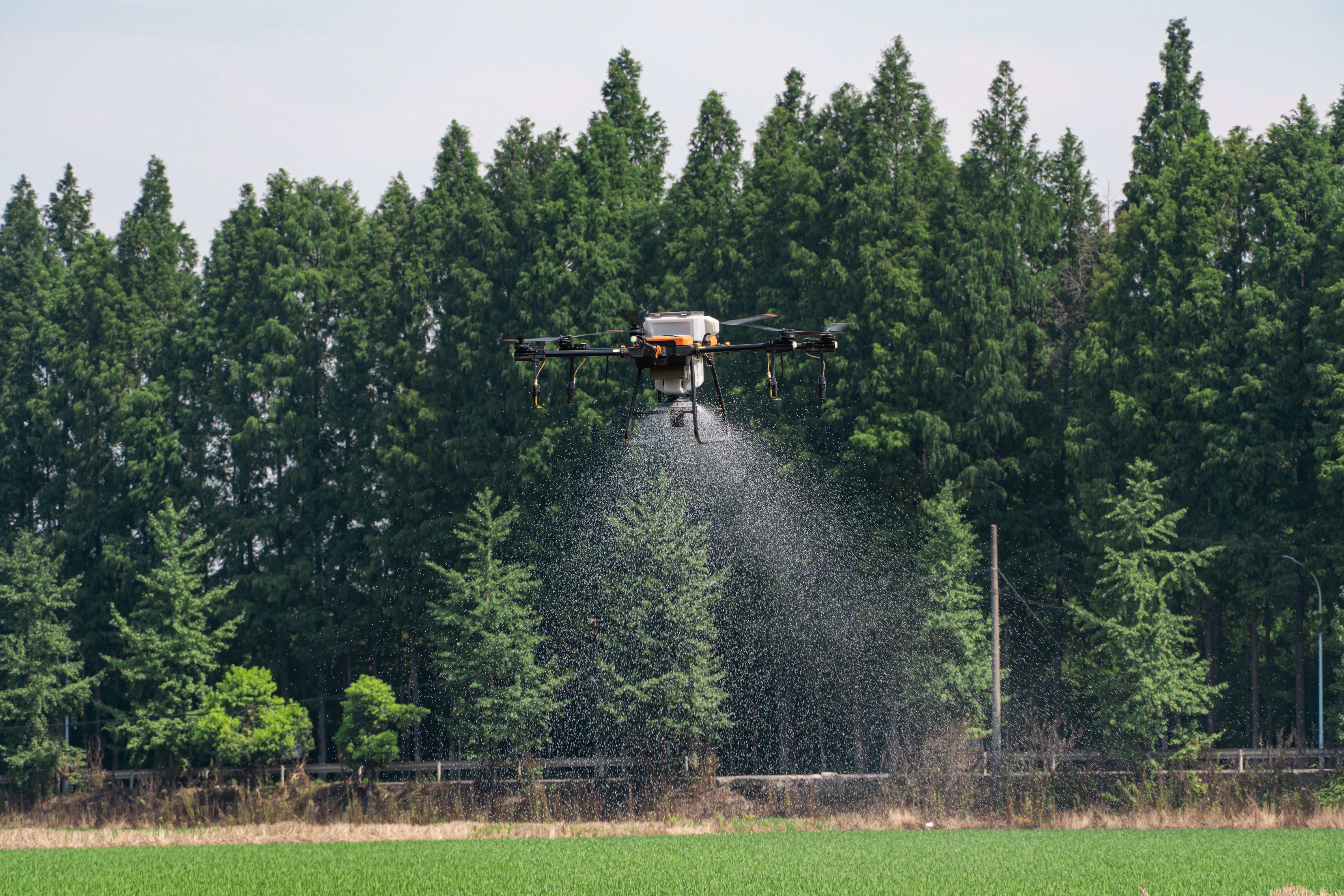 Drones en agricultura a la venta