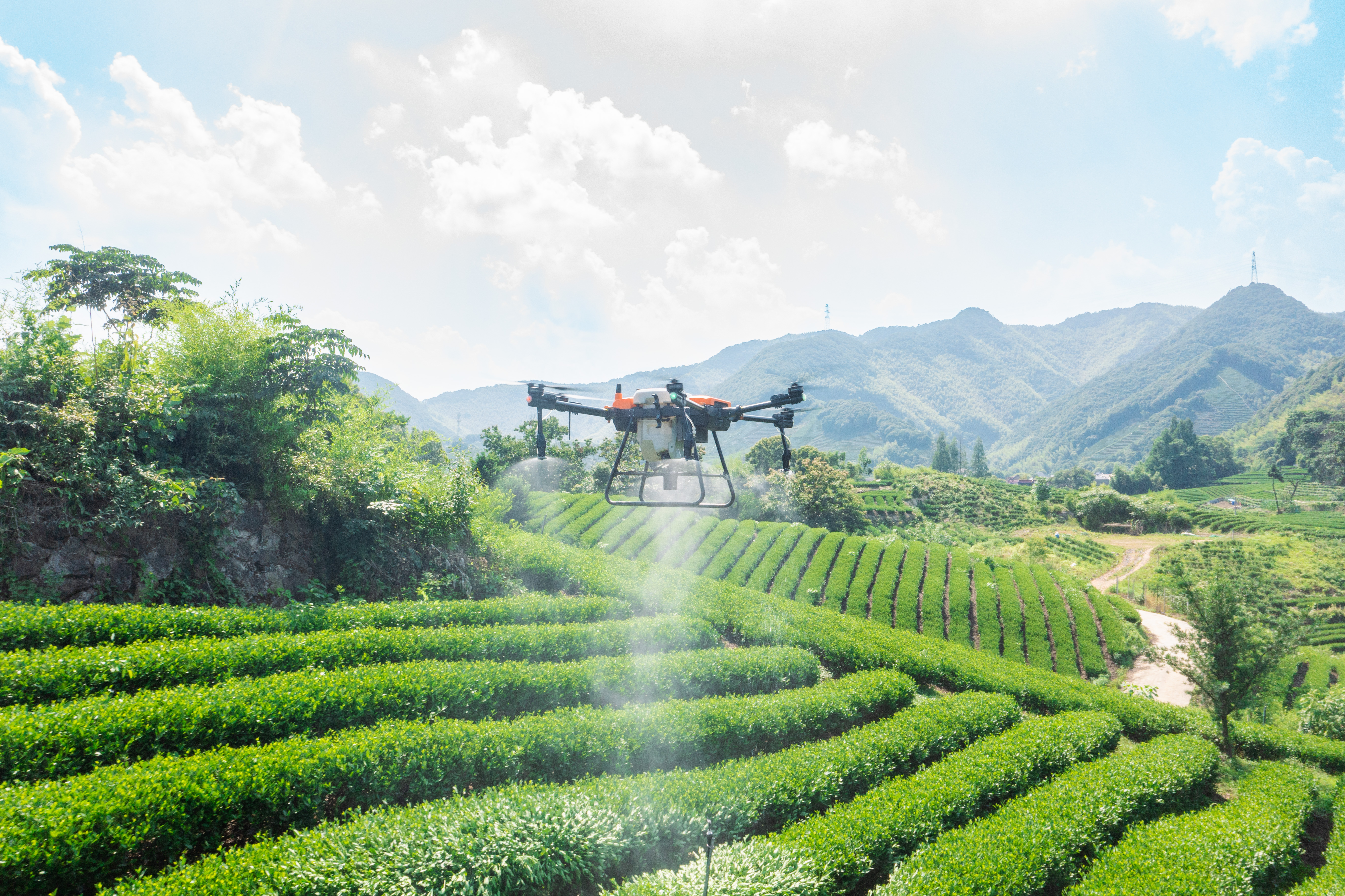 Dron fumigador de cultivos